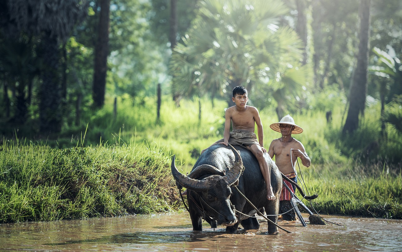 The Importance of Supporting Local Farmers